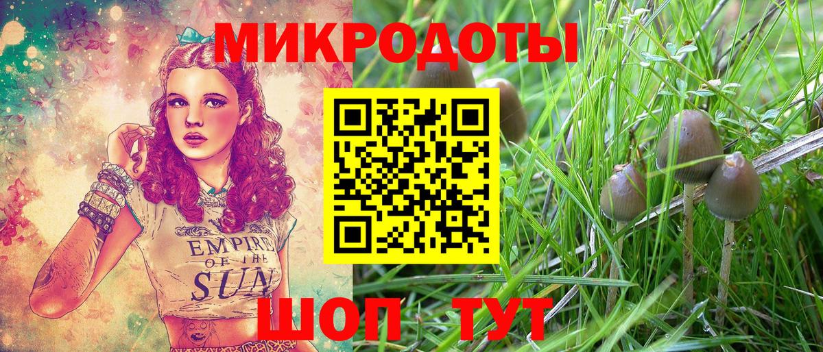 Галлюциногенные грибы Psilocybe  Галлюциногенные грибы прущие грибы  Вход с VPN  Аша 