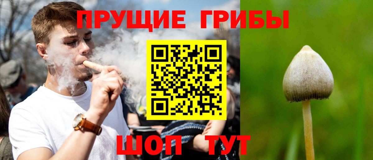 Псилоцибиновые грибы мухоморы Аша